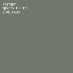 #73756F - Limed Ash Color Image